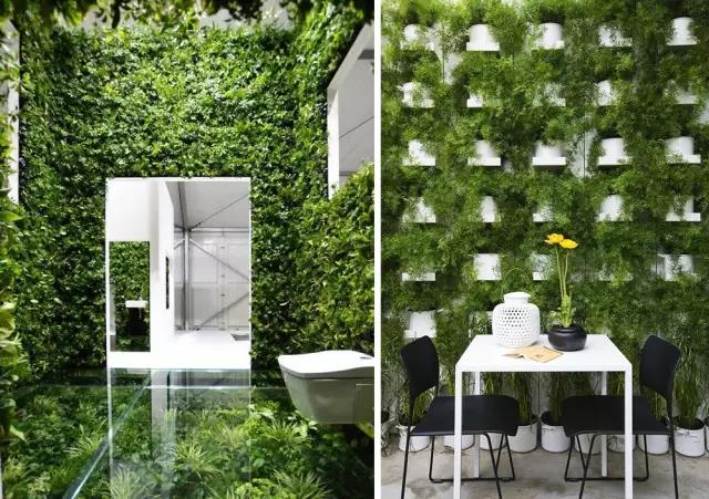 綠植長在墻上，個(gè)性又省地方！